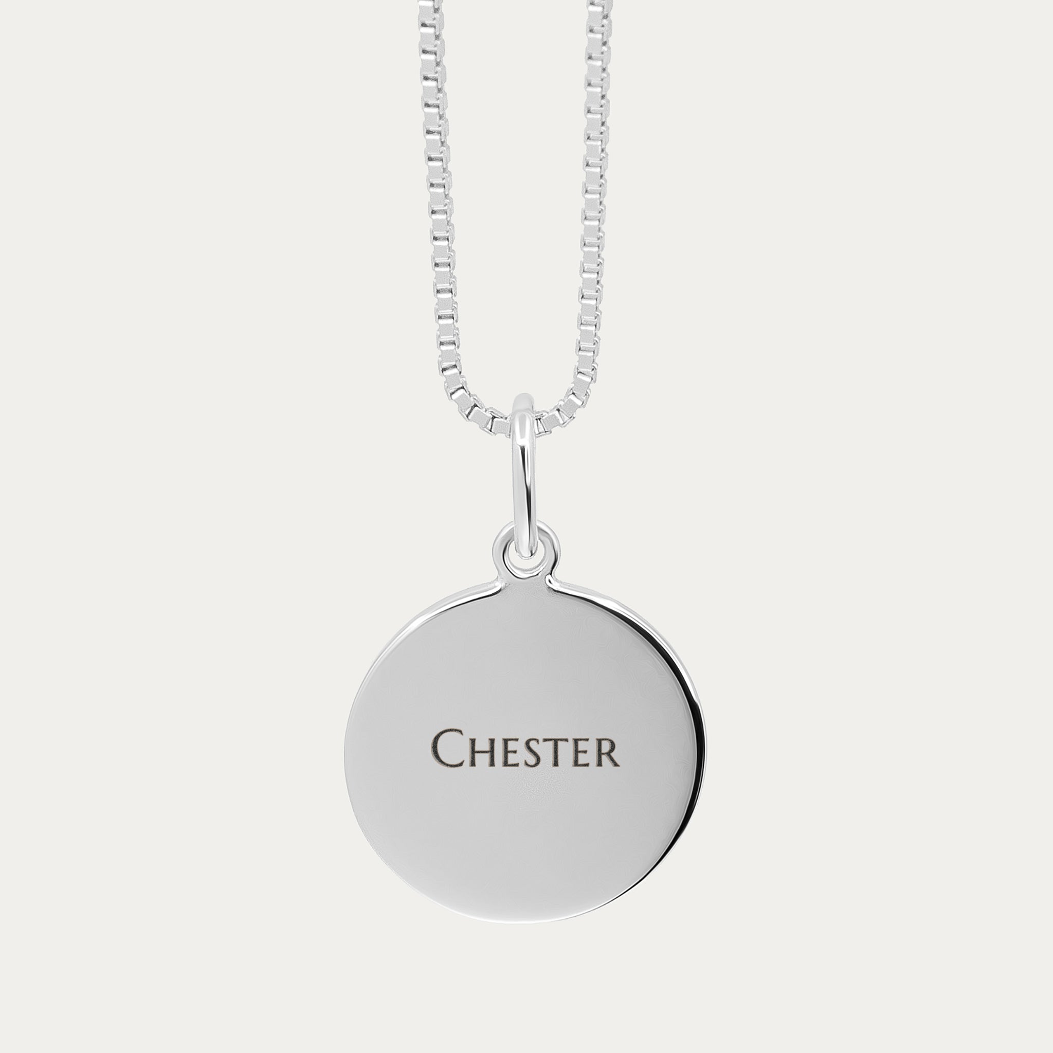 Silver Pet Print Pendant | Box Link Chain