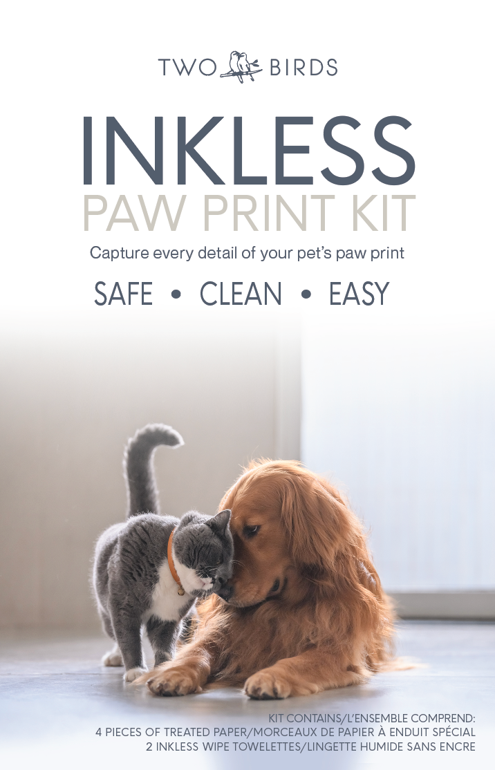 Inkless Paw Print Kit