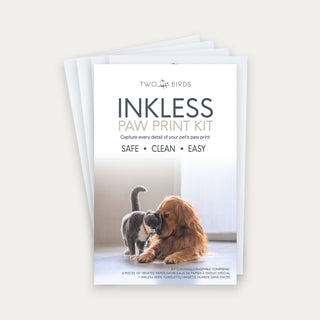 Inkless Paw Print Kit