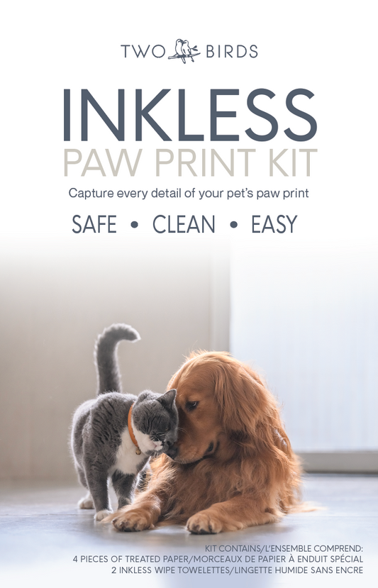 Inkless Pet Paw Print Kit